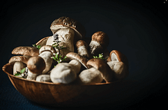 mushrooms in a bowl